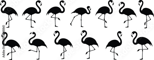 Flamingo silhouette illustration set, twelve black icons varied poses standing walking one leg neck posture design, vector artwork, animal and lifestyle theme, isolated background