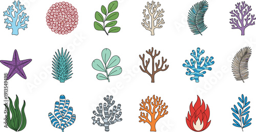 Vector set of colorful coral reef elements with sea plants starfish and seaweed isolated on white background for marine design.