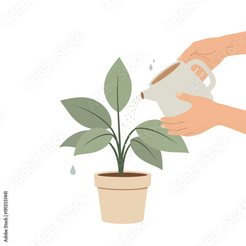 Gardening illustration of hands watering a potted plant with a watering can