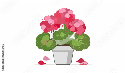 Pink red blooming geranium in flowerpot flat vector illustration isolated on white background