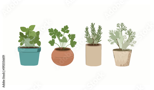 Potted herb vector set featuring basil parsley rosemary and dill in modern flat illustration style