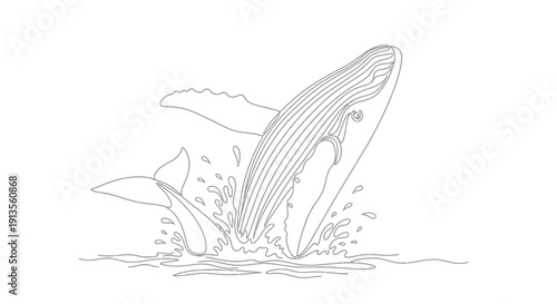 Humpback Whale Breaching Ocean Water Line Art Isolated on White