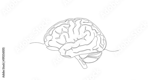 Brain Continuous Line Art Drawing Isolated on White Background