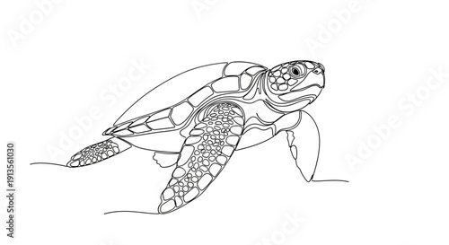 Sea Turtle Line Art Illustration Black and White Isolated on White Background