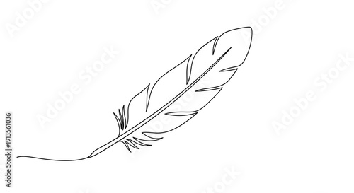 Feather Minimalist Continuous Line Drawing Isolated on White Background