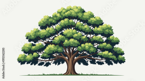 Large spreading green tree with a massive brown trunk and a wide canopy of dense foliage on a light grey background.