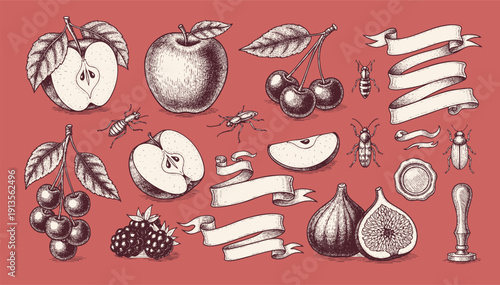 Healthy food set. Vegetables, fruits, milk, berries and healthy food  collection. Natural organic nutrition. Fresh vitamin grocery products