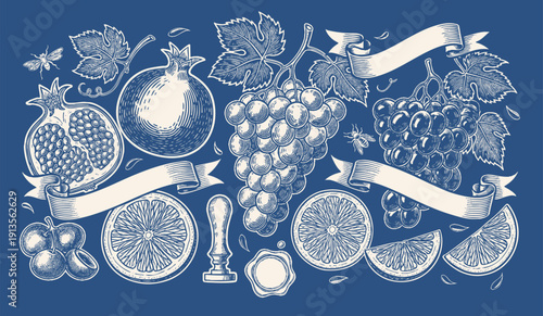 Assortment of fresh fruits vegetables and dairy products. hand drawn set