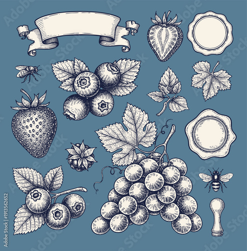 Assortment of fresh fruits vegetables and dairy products. hand drawn set