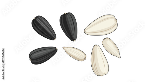 Arrangement of sunflower seeds showing the black striped shells and white edible kernels isolated on a white background for health food themes.