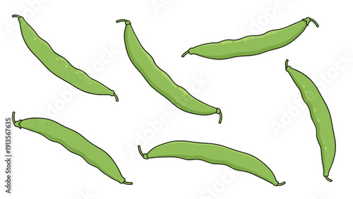 Realistic illustration of several green bean pods showing their slender curved shapes and small seeds inside isolated on a white background.