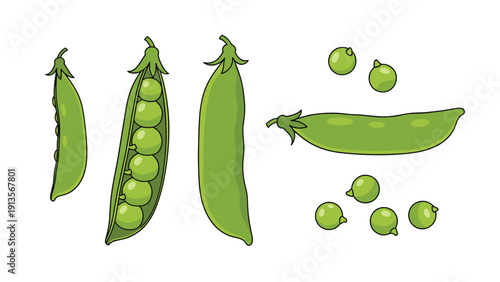 Illustration of green pea pods in various stages including whole pods and open pods with peas next to individual loose green pea seeds.