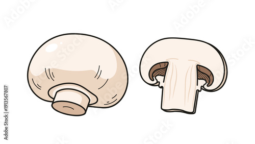 Detailed drawing of white button mushrooms showing one whole specimen and a vertical cross-section revealing the inner gills and stem.
