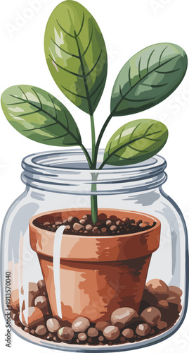 plant, terrarium, jar, glass, potted, seedling, leaves, green, nature, eco, gardening, soil, botanical, vector, illustration, isolated, decor, home, indoor, concept
