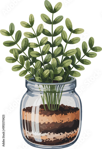 plant, glass, jar, terrarium, indoor, gardening, green, leaves, nature, eco, growth, soil, botanical, vector, illustration, isolated, decor, home, sustainability, concept