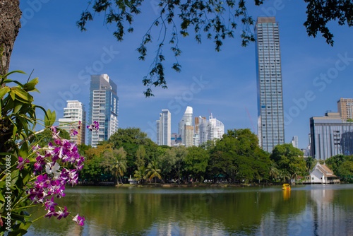 Modern Bangkok skyscrapers rising behind green trees with orchids and water in Lumphini Park. Contrast of nature and city life, Southeast Asia travel destination, sunny outdoor landscape.