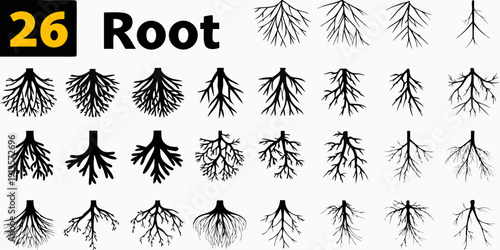 Variety of root systems and a number 26 displayed prominently