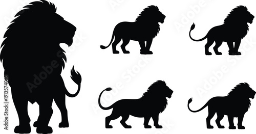 Set of Majestic Lion Silhouettes in Various Standing Poses, African Wildlife Big Cat Vector Illustration in Black and White