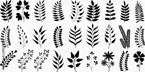 Collection of detailed black and white botanical leaf and floral illustrations