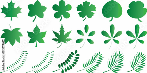 Collection of various green leaf shapes and botanical illustrations
