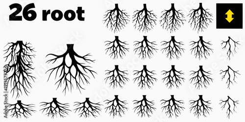 Collection of root systems a botanical illustration of plant roots