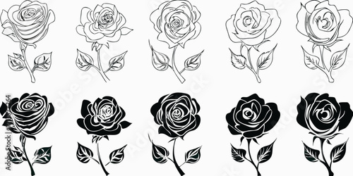 Collection of black and white rose illustrations in various styles