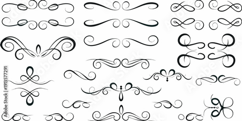 Collection of ornate black flourishes and decorative swirls on white background