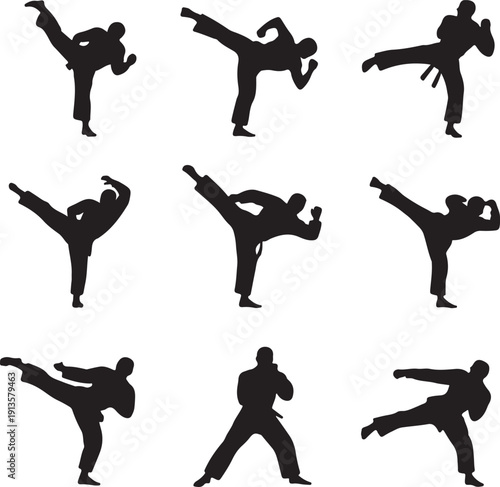 Martial arts silhouettes of men in various kicking and punching poses