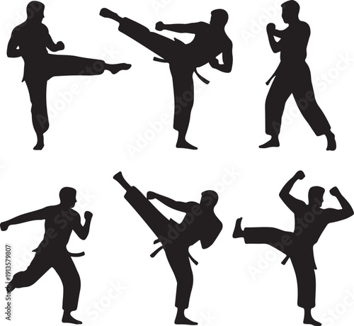 martial arts silhouettes of people performing different kicking and punching techniques