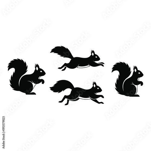 Four black silhouette squirrels in different poses on white background icon