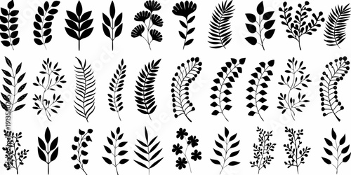 Collection of botanical illustrations featuring various plant leaves and sprigs