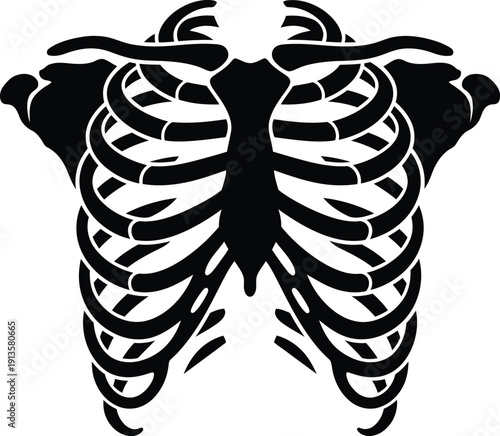 A symmetrical ribcage design with detailed skeletal structure