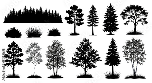 Silhouette Forest Trees and Bushes Collection Vector