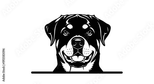 Rottweiler Dog Face Vector Illustration, Black and White Graphic
