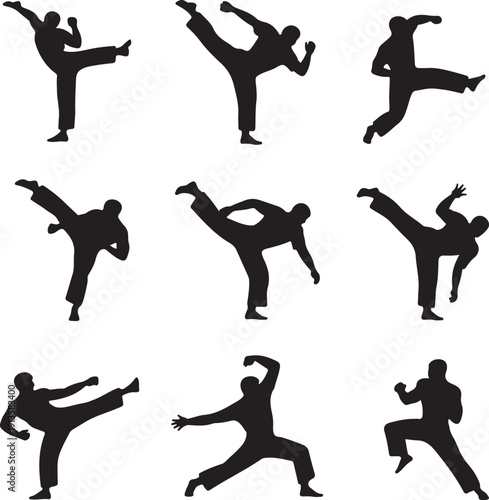 silhouettes of people performing various martial arts kicks and poses
