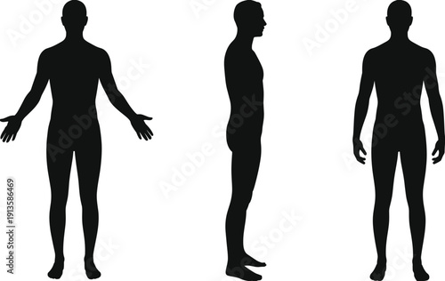 Black silhouette illustration of human body in multiple views, anatomical design concept, medical reference artwork for stock image collection use