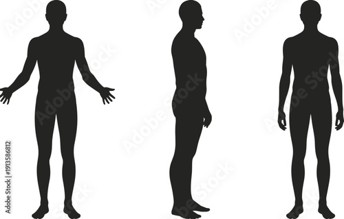Black silhouette illustration of human body in front, side, and rear views, anatomical design concept, medical reference artwork for stock use