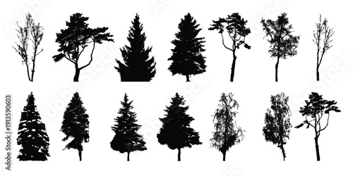 set of tree silhouette isolated on white backgorund vecrtor