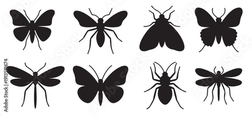 nine black insect silhouettes moth butterfly spider 