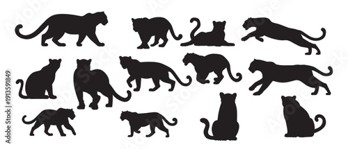 silhouettes of big cats in various poses including walking