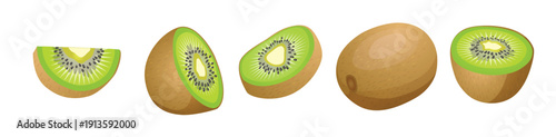 set of kiwi fruit whole half and cut slice illustration