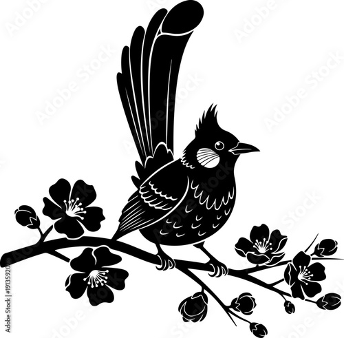Bulbul Bird silhouette vector illustration