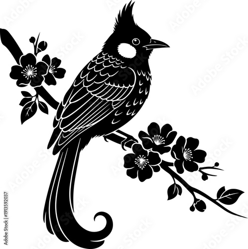Bulbul Bird silhouette vector illustration