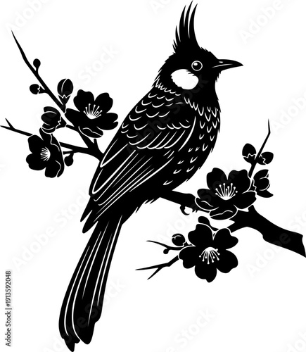 Bulbul Bird silhouette vector illustration