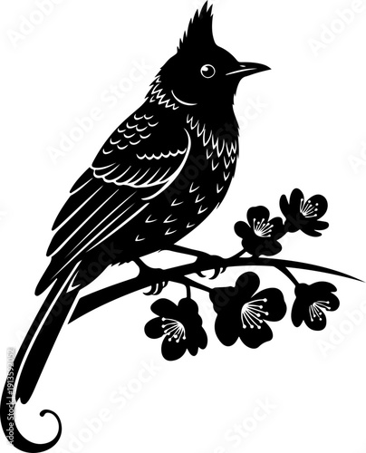 Bulbul Bird silhouette vector illustration