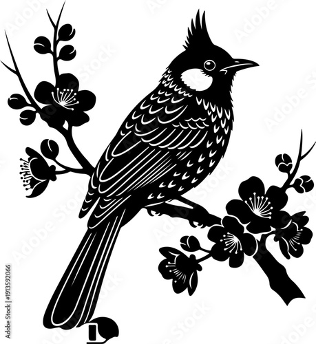 Bulbul Bird silhouette vector illustration