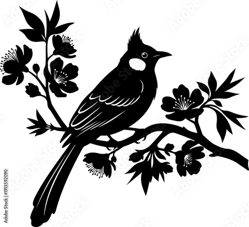 Bulbul Bird silhouette vector illustration