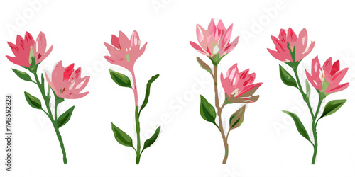 A collection of vibrant pink paintbrush flowers against a dark background