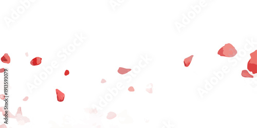 Scattered red rose petals floating against a completely black background