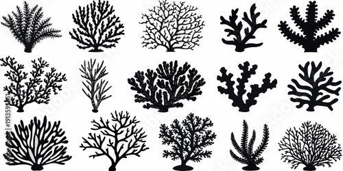 Variety of black and white coral illustrations arranged in a grid pattern